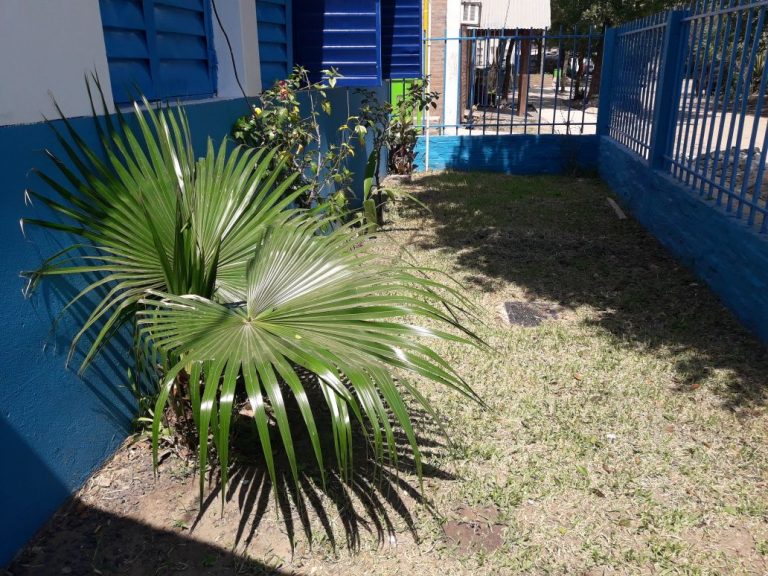 809fcc2f-0f20-4990-bdd4-496bbc6c3776