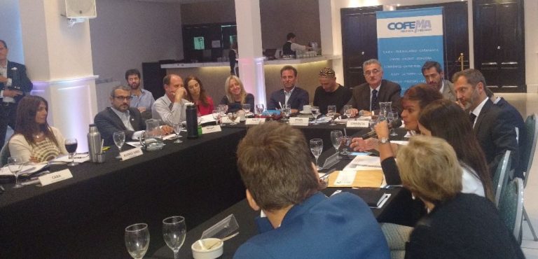 26-3-18 cofema autoridades y comisiones (1)