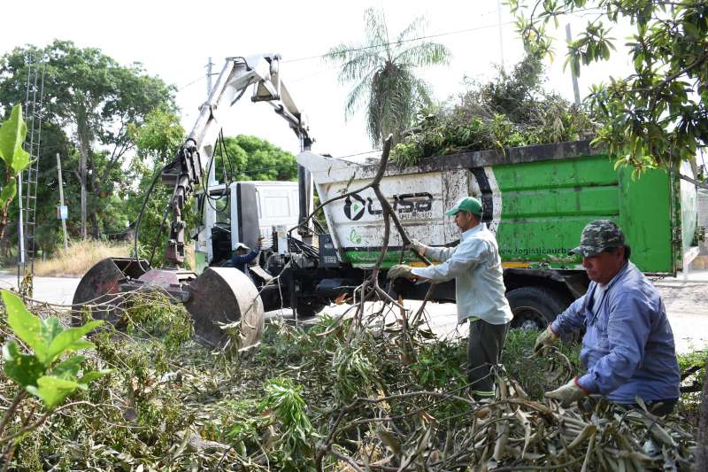 bf31f706-ca0c-45b9-b5f6-c7c767428230-800