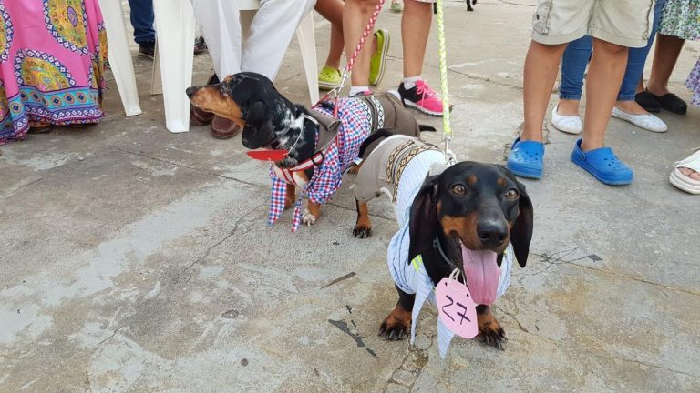 173a590a-7db5-4549-9298-00519675e87d