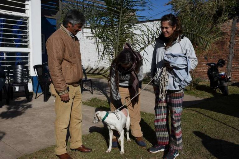 13e534af-96d6-4b9c-ac69-6d7f0795537c-800