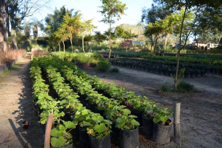 263de52d-4fe1-42c1-b8fa-d823610dbf54-800