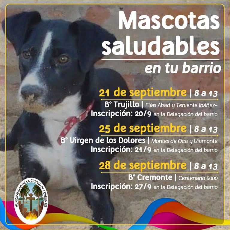 053ae940-2ef3-4ba8-a98c-5baeb879bf27