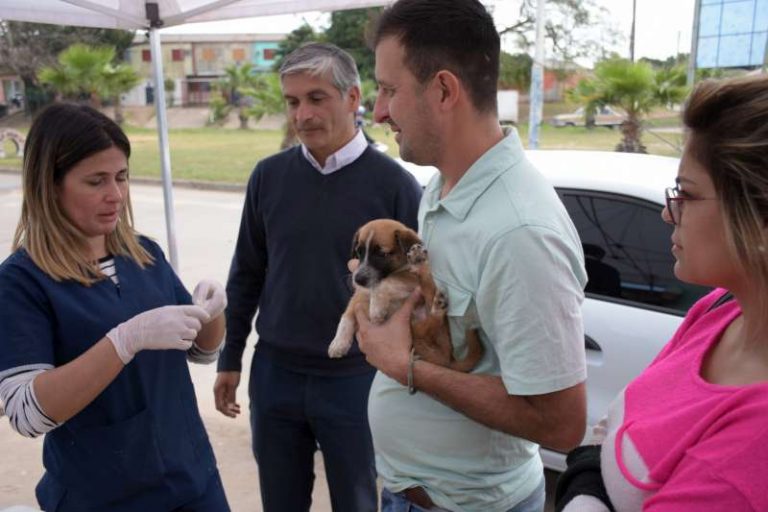 eaaad162-696b-41ae-90be-2126ea4cb7c9-800