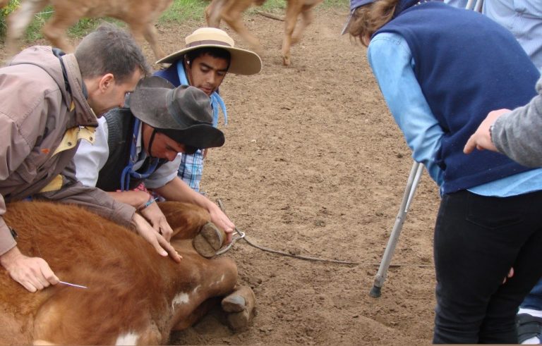 Grupo PG Santa Lucía1