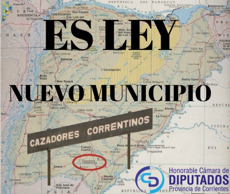 GRAFICO CUADRADO DE CAZADORES