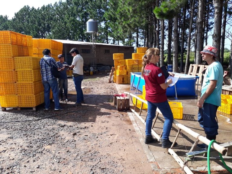 Fiscalizacion con Afip1