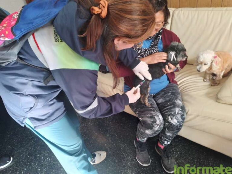 Leishmaniasis f1 800