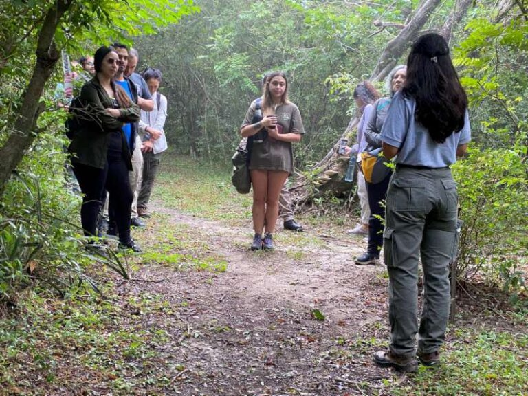 58298389-f6ea-8fac-99b6-bcec539a1070-800