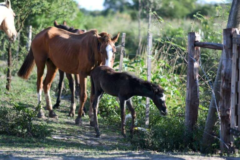 8caeeb43-3745-70c8-0a05-23d5171a5942-800