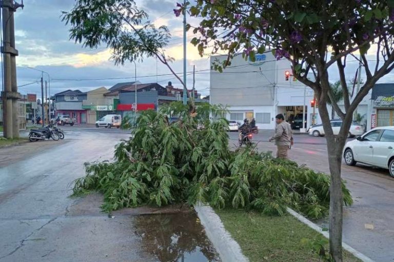 675d1abb-e641-3781-247d-7ad28db4de0e-800