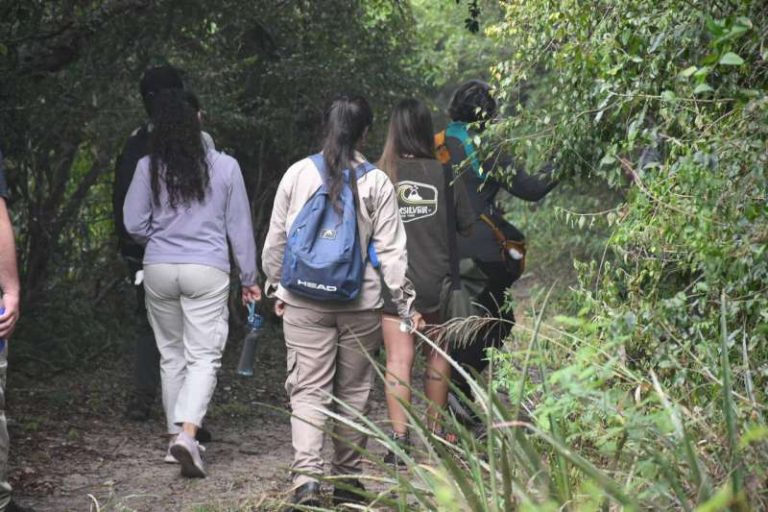 6fd0f741-b610-7577-29c9-4c9009e01d84-800