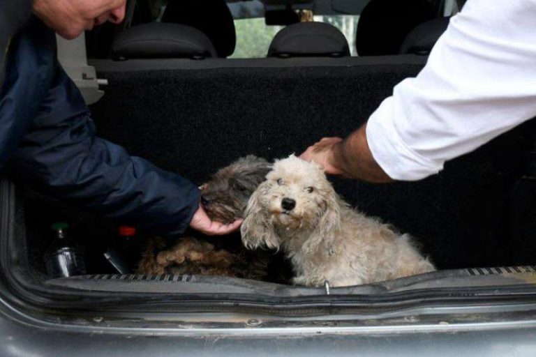 828b6fb3-a235-0cd0-0fb4-33ebccee5a02-800