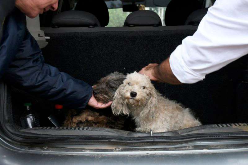 828b6fb3-a235-0cd0-0fb4-33ebccee5a02-800