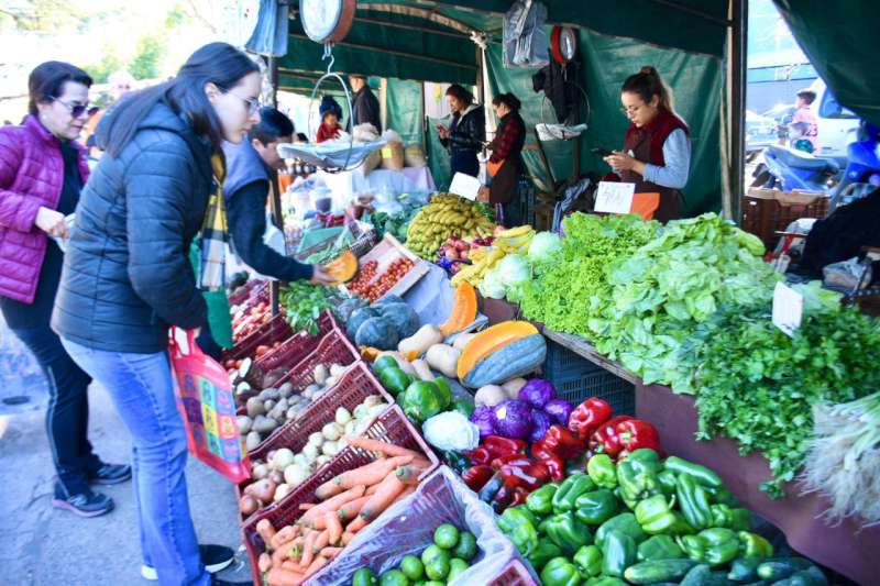 8a80cc2f-cf2f-e556-2540-652328c9c1cf-800