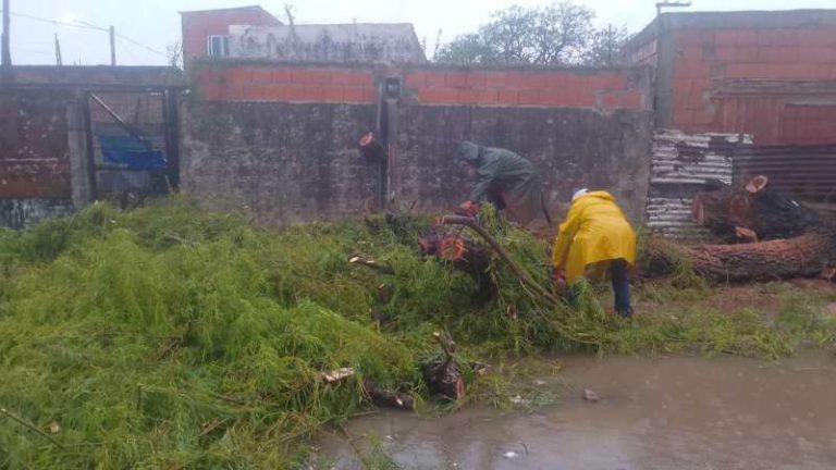 612f3fcf-960b-8d17-a578-c4b419ebba2e-800