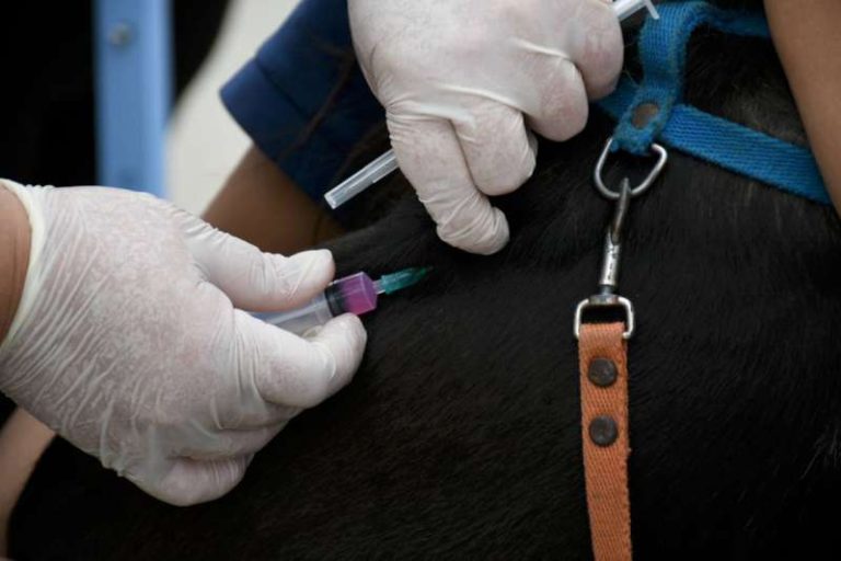 959baba3-dbea-9c29-31f0-5332ad679f94-800