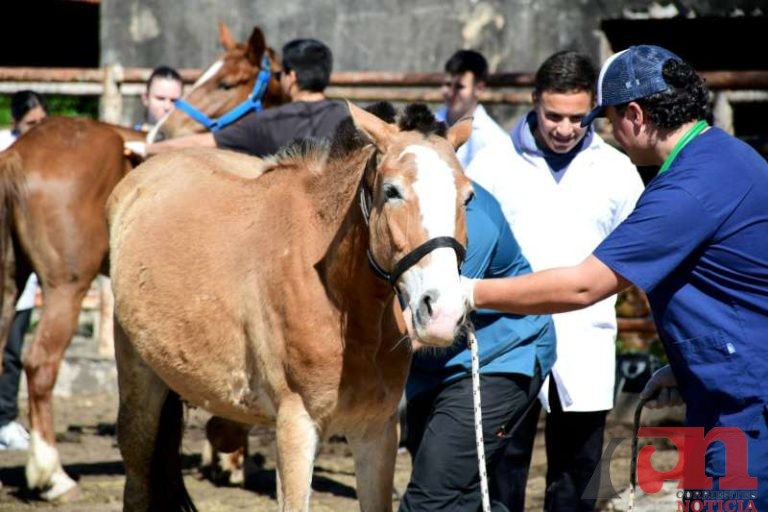 0f134695-99aa-18d4-2836-e74376efc517-800