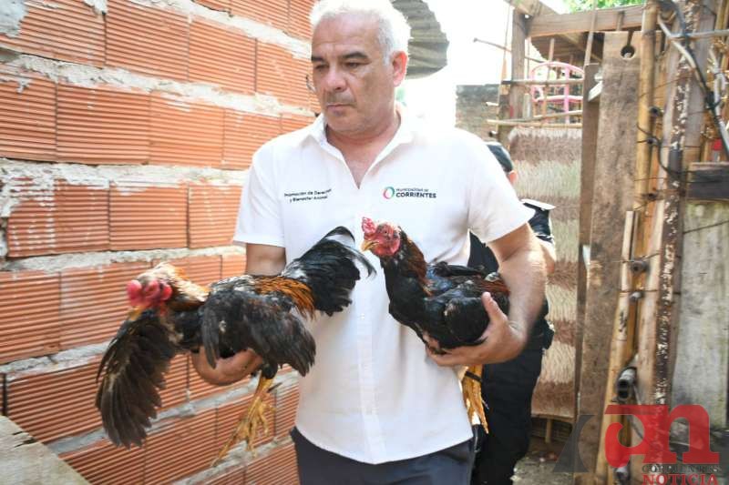 15c0a459-0e2f-e9be-b646-c8f42a3ecdf4-800