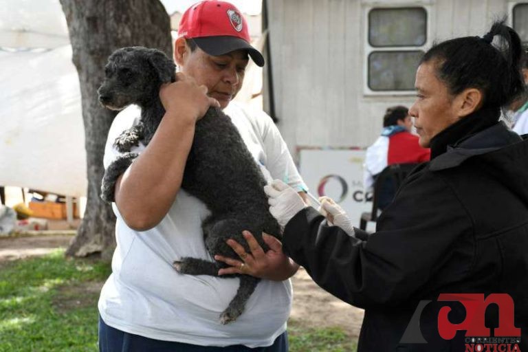 6b8825c0-6c9f-4560-b335-0aeafbf8e5e3-800