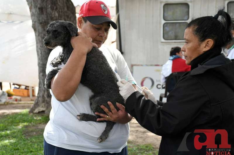 6b8825c0-6c9f-4560-b335-0aeafbf8e5e3-800