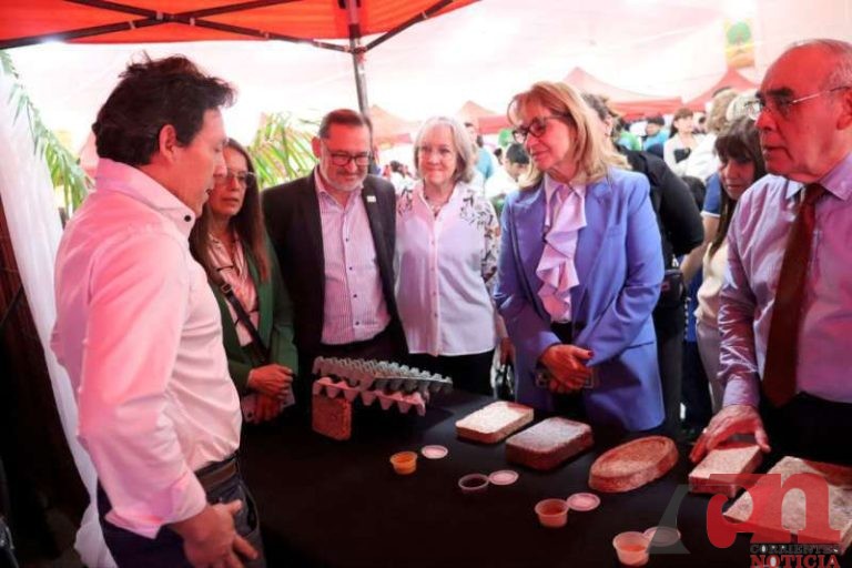 imagen-104323-800-800