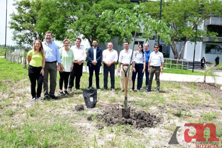 7347bb59-f952-c373-5344-a3267b3a00ea-800