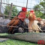 9168bb4b-9e1d-9b11-196e-6e96a9edcd05-800