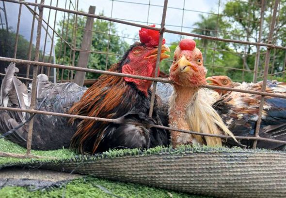 9168bb4b-9e1d-9b11-196e-6e96a9edcd05-800