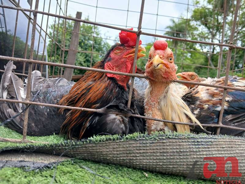 9168bb4b-9e1d-9b11-196e-6e96a9edcd05-800