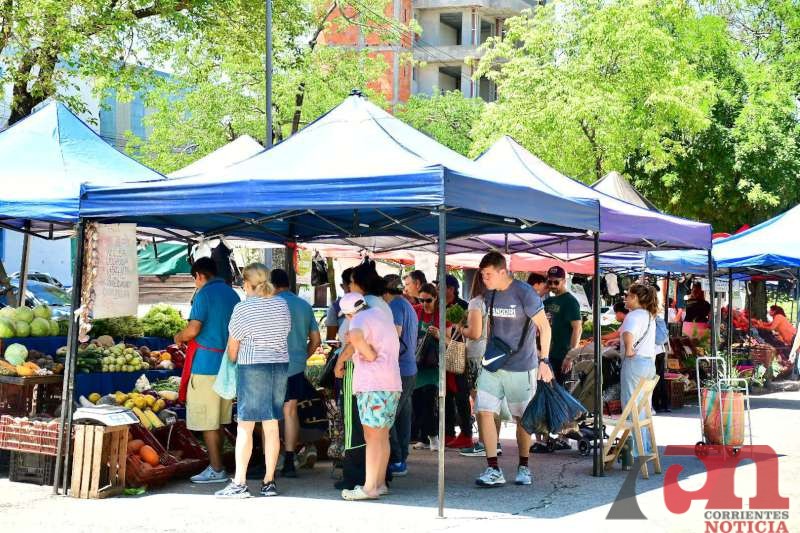 fce37f3c-0d27-6ddb-0fec-b17eb17cd84c-800