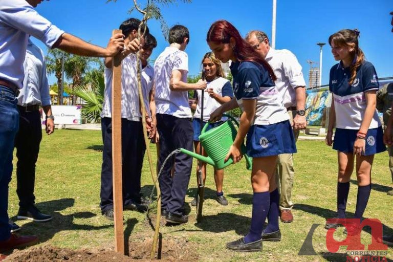 057bcdfe-8422-ed0f-1359-528569ff47c7-800